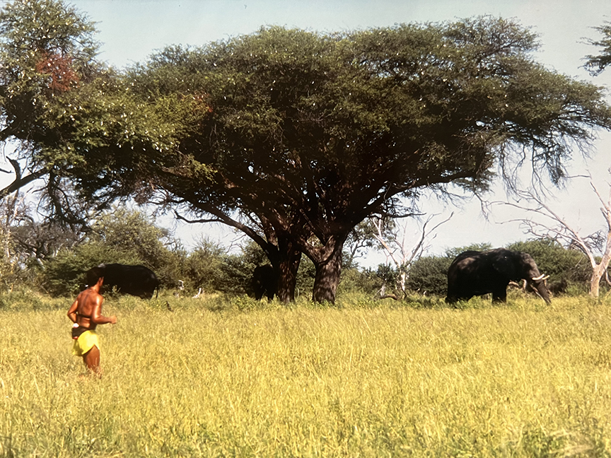 Bourne runs past elephants in Botswana, 1998.