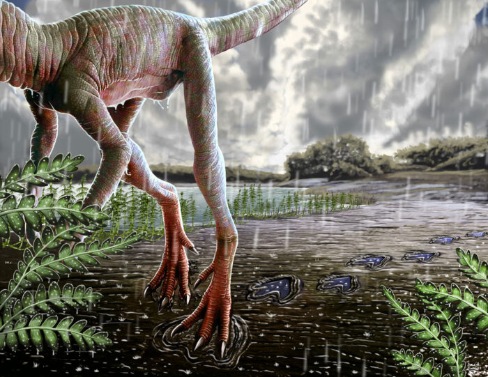 reptile