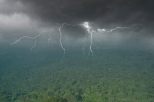 Lightning over a rainforest.