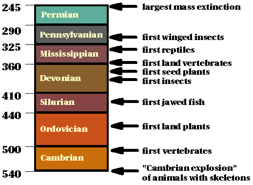 A diagram showing the periods of the Paleozoic Era. Cambrian is first, at the bottom, followed by Ordovician.